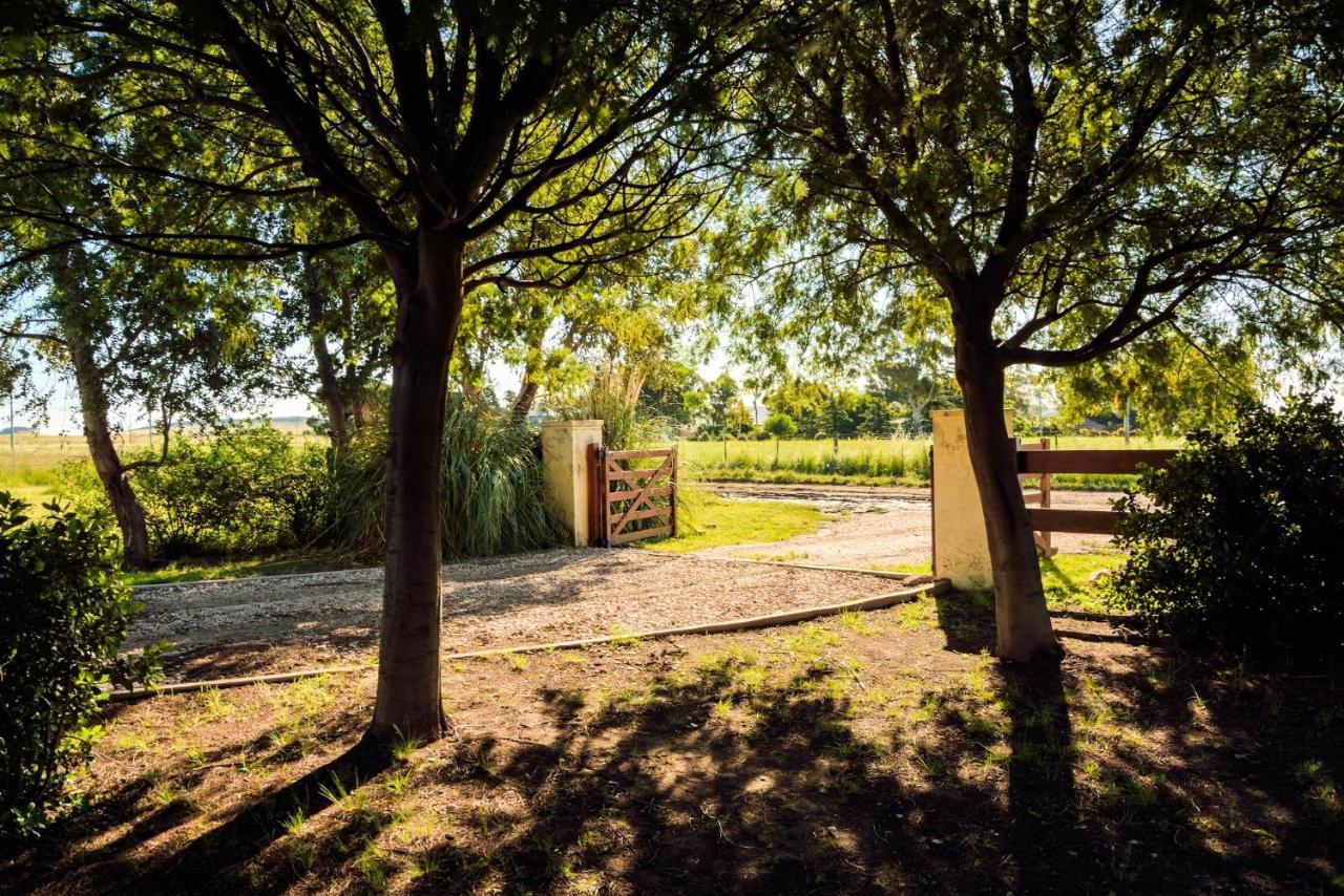 Cabanas De Las Pinturas Villa Sierra de la Ventana Eksteriør billede
